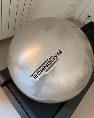 Ball Technogym