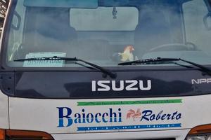 autocarro isuzu mod 35.3