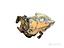 Immagine 4