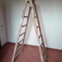 Scala