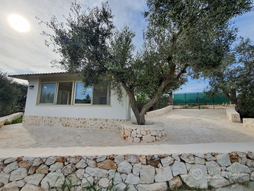 Ostuni - lamia giardino degli ulivi