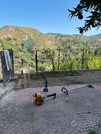 Giardiniere/Manutenzione del verde/potature