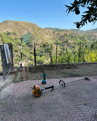 Giardiniere/Manutenzione del verde/potature