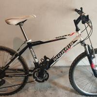 Mountain bike Morris, misura 24.
