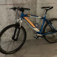 Mountain Bike Kastle