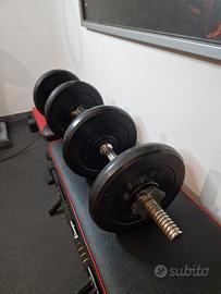 SET Manubri e Pesi Regolabili