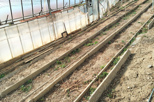 Terreno con serra in ferro