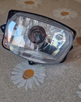 faro v face