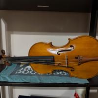 Violino