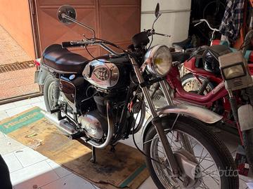 Bsa Gold Star 650