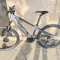 Atala B-Cross