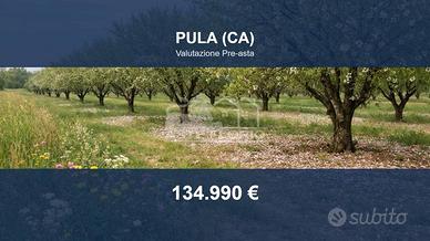 Immobile in asta di 16070 m² a Pula