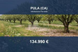 Immobile in asta di 16070 m² a Pula