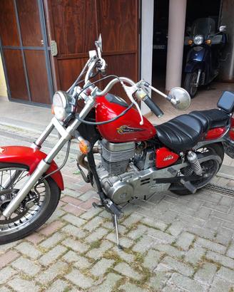 Suzuki LS 650 Savage