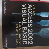 Libro Access 2002 Visual Basic 