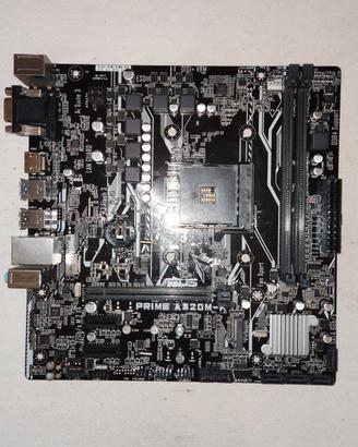 Scheda Madre ASUS Prime A320M-K