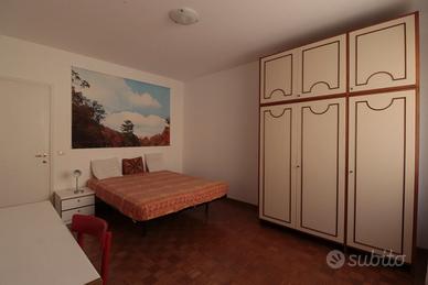 Studentessa non fumatrice stanza singola