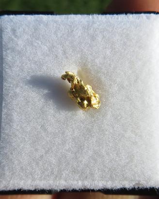 PEPITA d'ORO NATURALE Western Australia