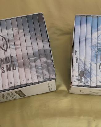 raccolta dvd