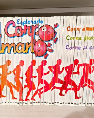 corpo umano COME NUOVO 