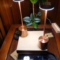 Coppia Lampade Rose Golden, Wireless, Touch, Usb