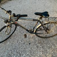 Bicicletta da uomo