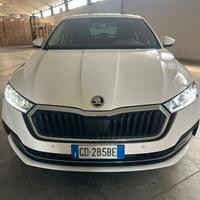 Skoda Octavia 4° serie Berlina - Iva esposta