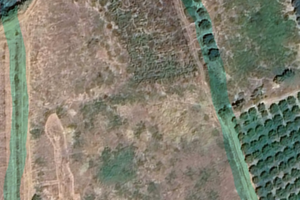 Terreno agricolo con ulivi