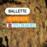 Ballette di PAGLIA