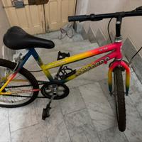 Mountain Bike Lombardo GL20 originale e colorata