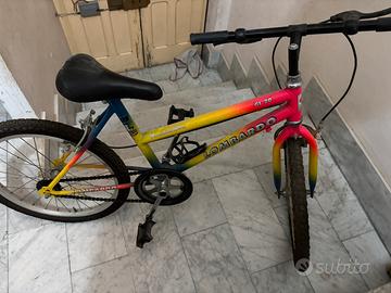 Mountain Bike Lombardo GL20 originale e colorata