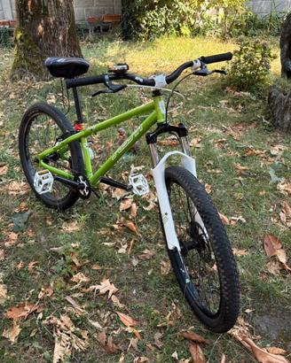 Bici mtb