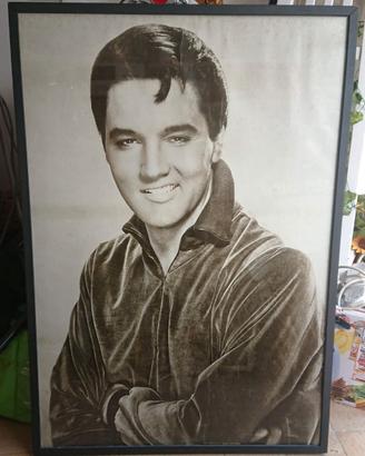 Quadri Elvis