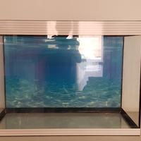 Acquario Askoll Pure Xl Hc Led
