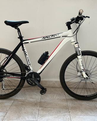 MTB Eclipse Avalon XT Taglia L Perfetta