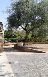 Villa bifamiliare in via collegiata