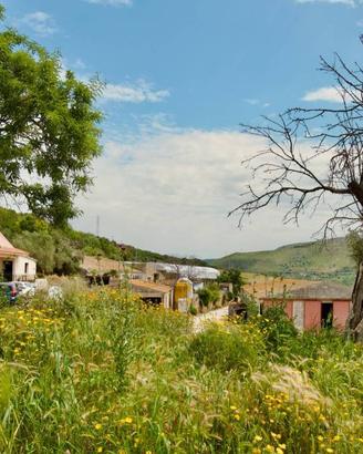 Terreno di 18000 m² a Ragusa
