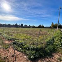Terreno agricolo a Assemini, strada Laccana Deximu