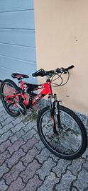 Bicicletta bambino raggio 24