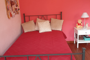 Summer Festival, camere a Lucca