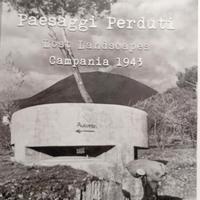 Paesaggi perduti. Campania 1943