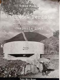 Paesaggi perduti. Campania 1943