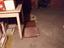 Immagine 13