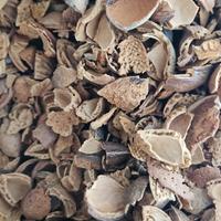 legna guscio di mandorla