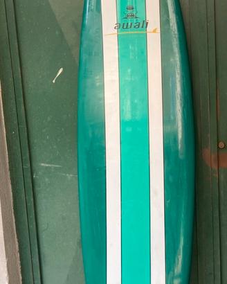 Tavola da surf Awali Mini Malibu/Funboard perfetta