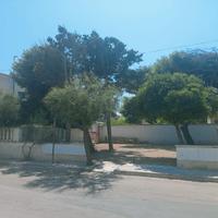 Terreno per attività estiva