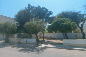 Terreno per attività estiva