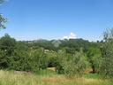 ter-agricolo-a-poggio-catino