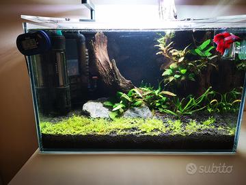 Kit nano acquario