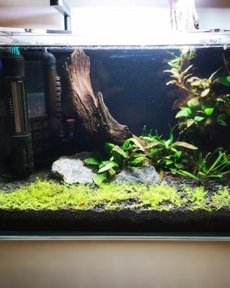 Kit nano acquario